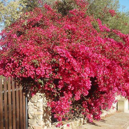 Casa A 300Mt.Dal Mare Calasinzias, 6 Letti, Ac, Pets Welcome, Wi-Fi Free Cala Sinzias Exterior foto
